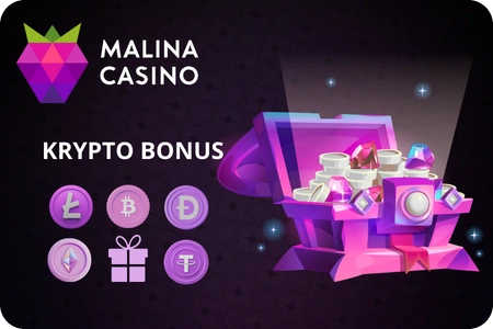 Krypto-Einzahlung mit malina casino bonus für erfahrene Spieler in Deutschland